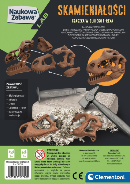 Skamieniałości - Czaszka T-Rexa